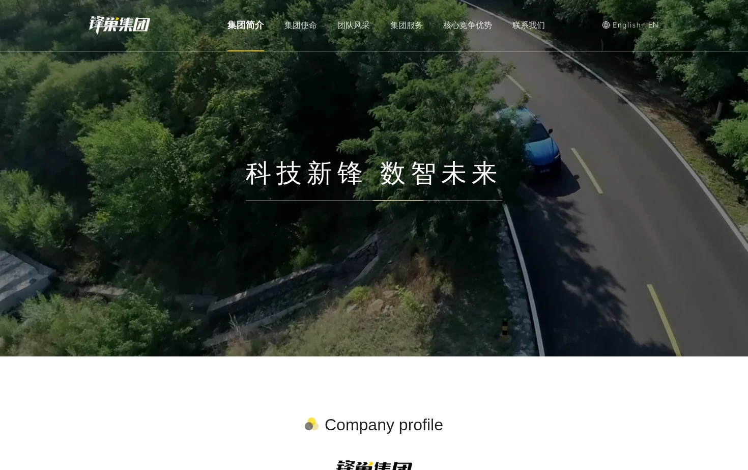 锋巢集团 页面快照
